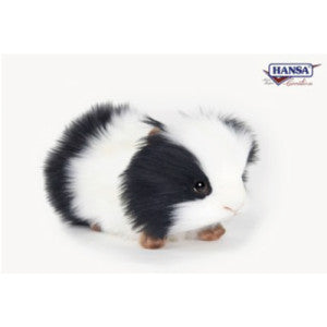 Hansa / Guinea Pig