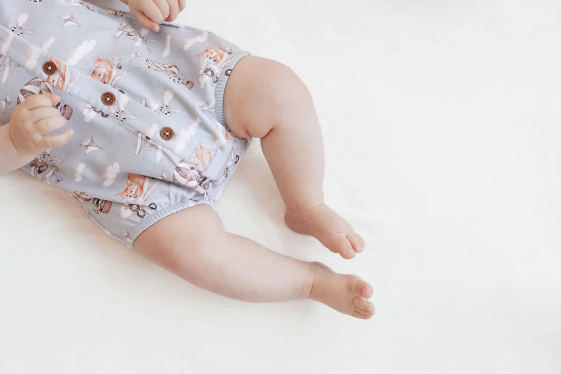 Aster & Oak / Flying Friend Bubble Romper