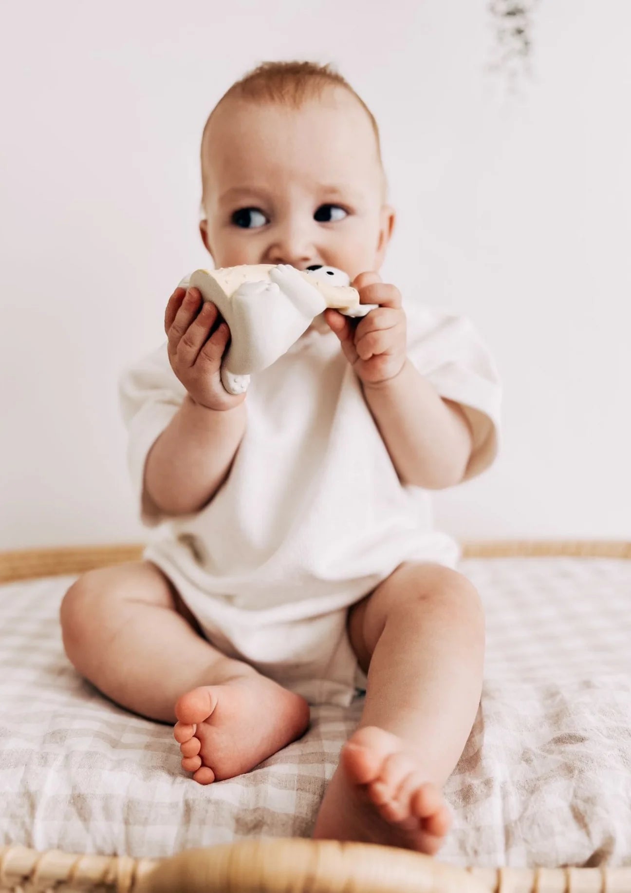 Winnie Parkes / Banks The Koala - Bath Teething Rattle