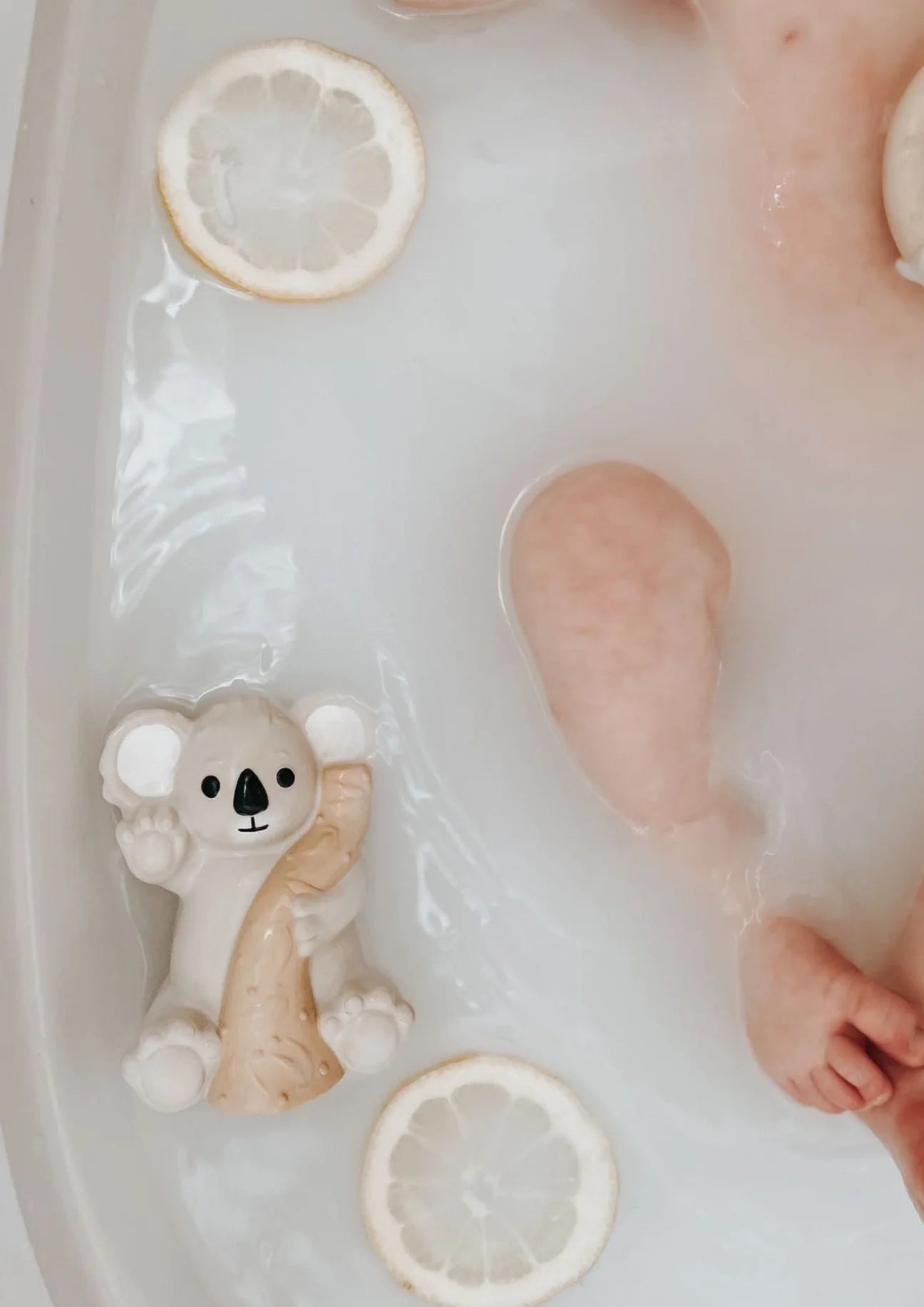 Winnie Parkes / Banks The Koala - Bath Teething Rattle