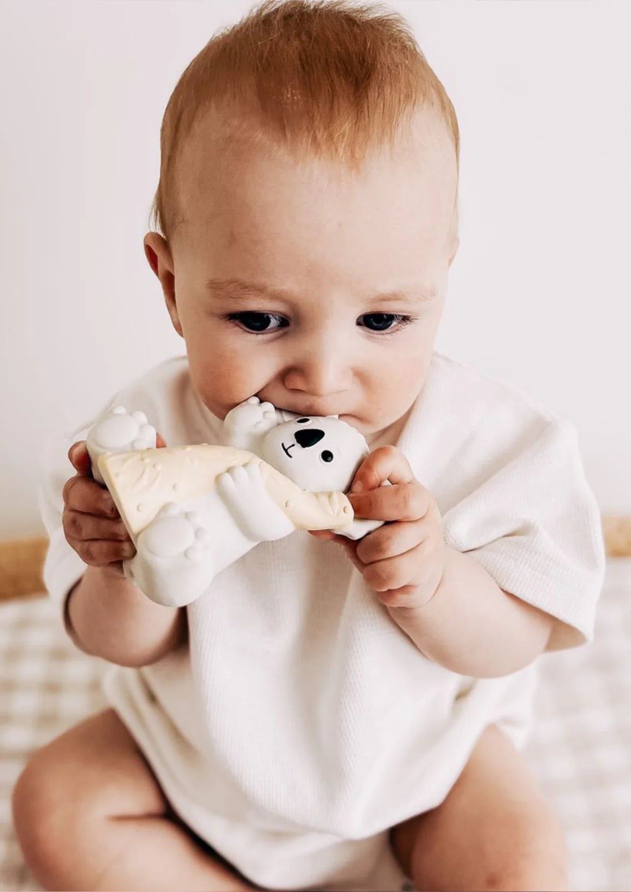 Winnie Parkes / Banks The Koala - Bath Teething Rattle