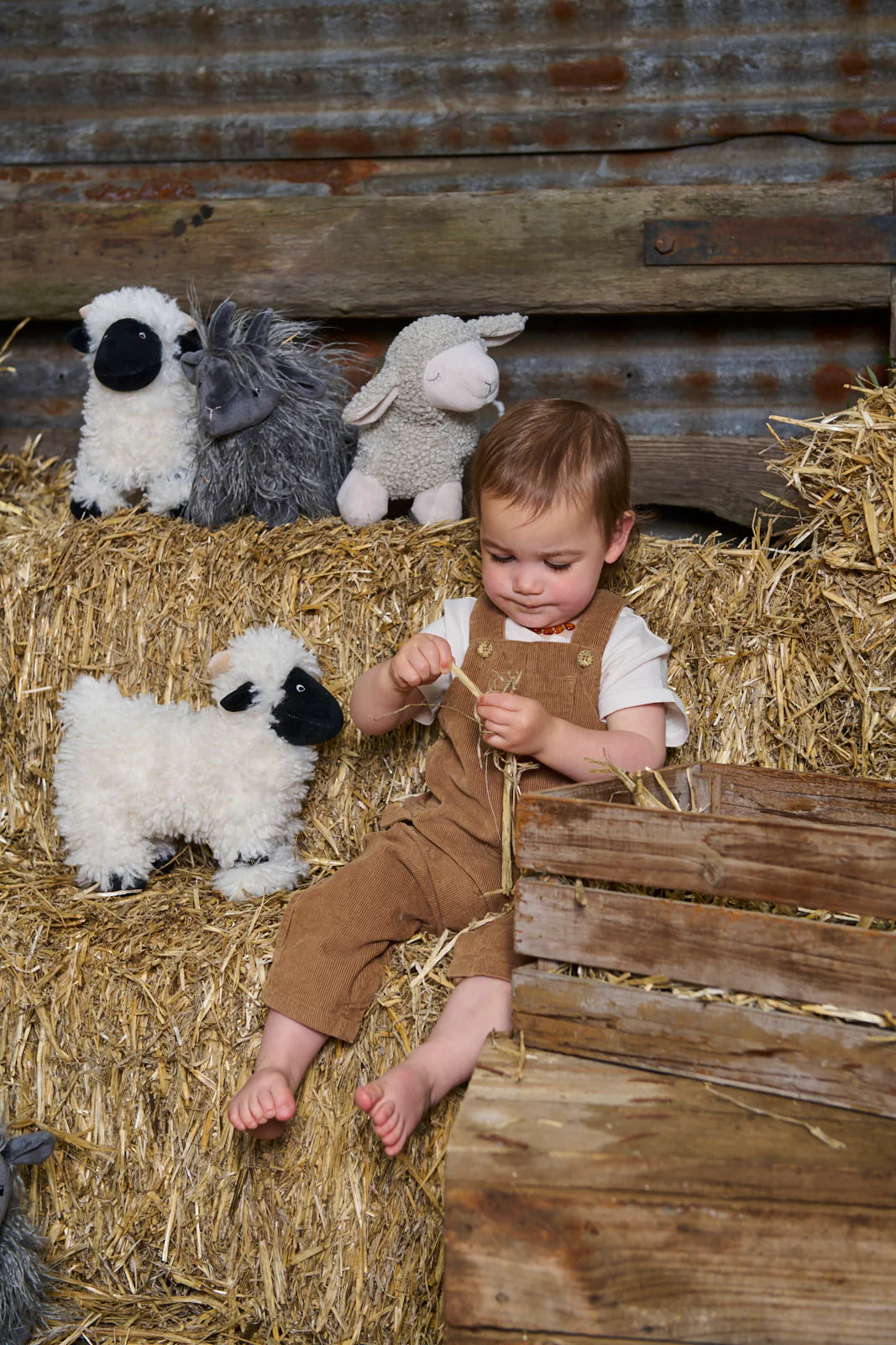 Nana Huchy / Charlotte The Sheep - Cream