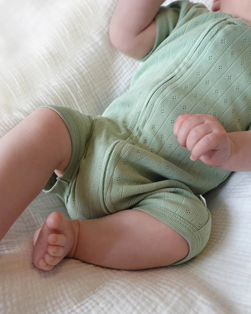 Bebe By Minihaha / Sage Organic Pointelle SS Zip Onesie