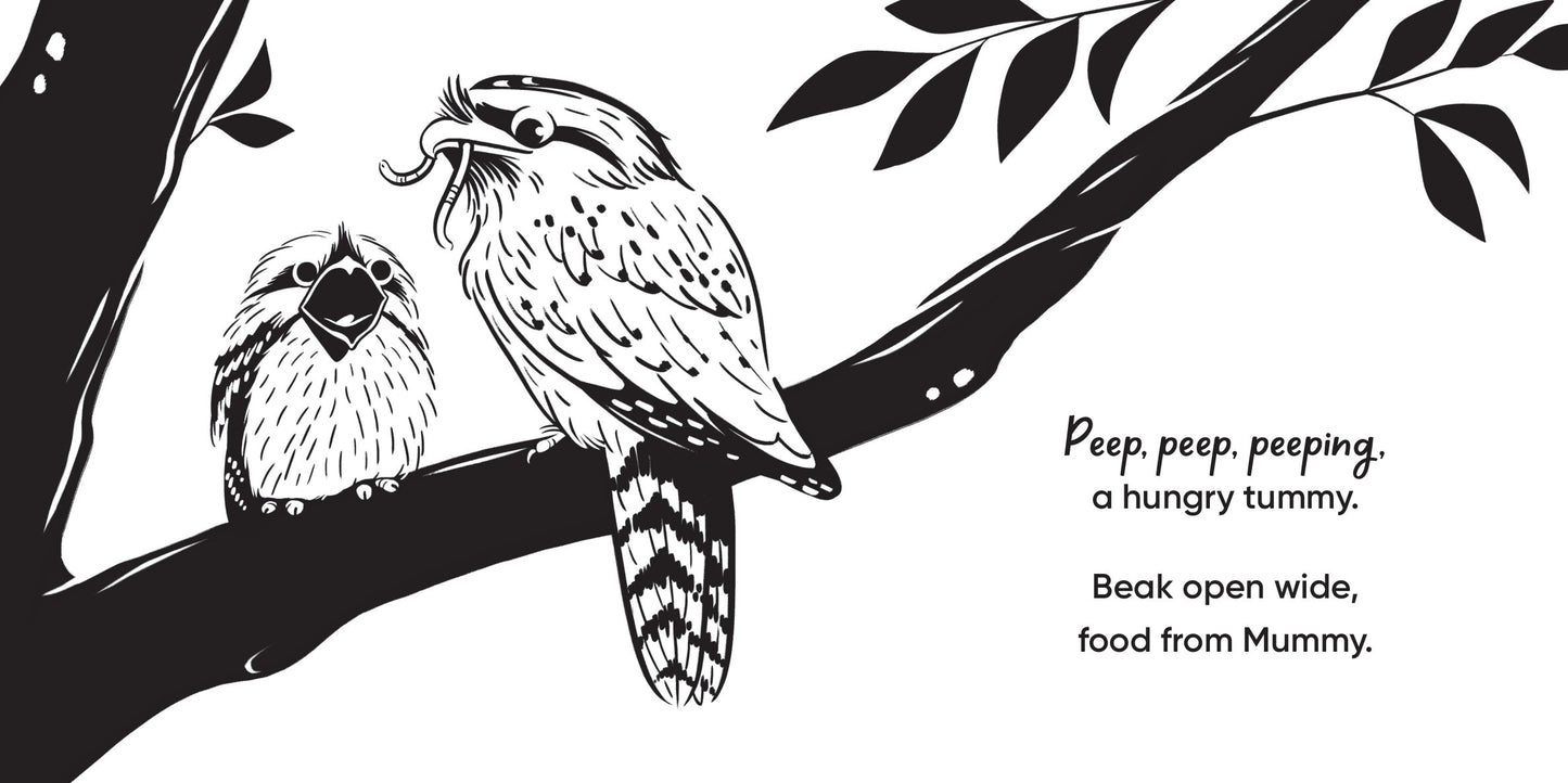 Aussie Bird Babies / High Contrast Book