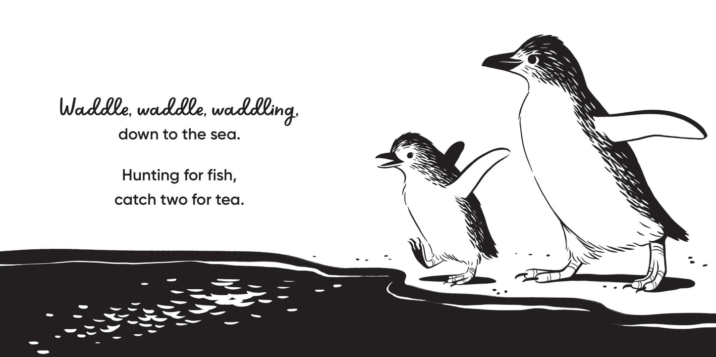Aussie Bird Babies / High Contrast Book