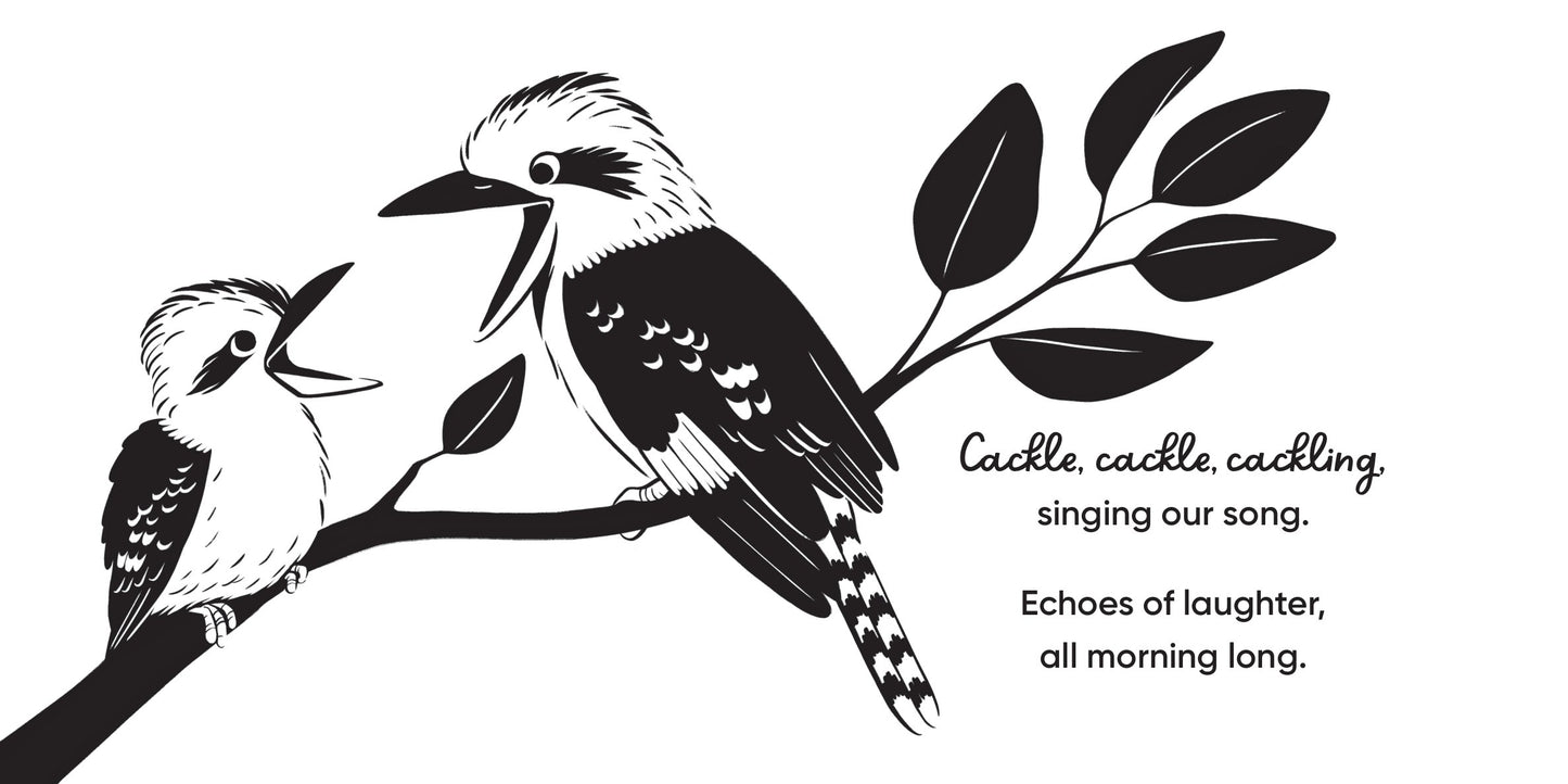 Aussie Bird Babies / High Contrast Book