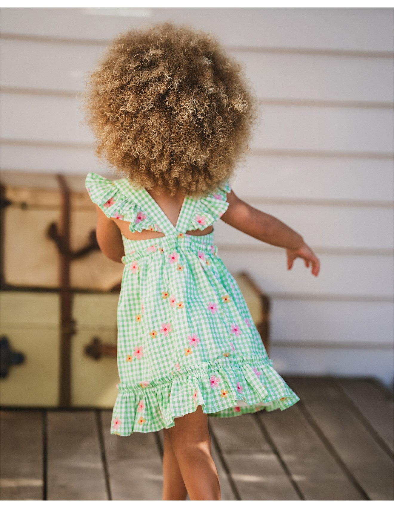 Fox & Finch / Grow Wild Embroidered Check Dress
