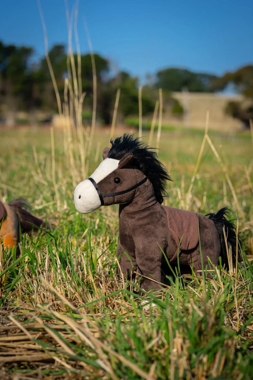 Nana Huchy / Thunder The Horse