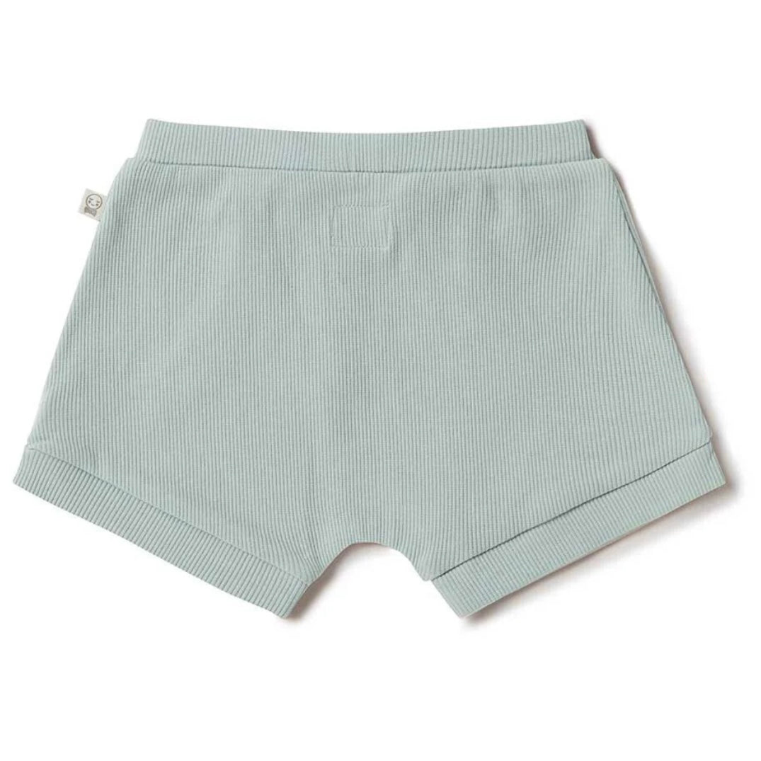 Snuggle Hunny / Shorts - Sage