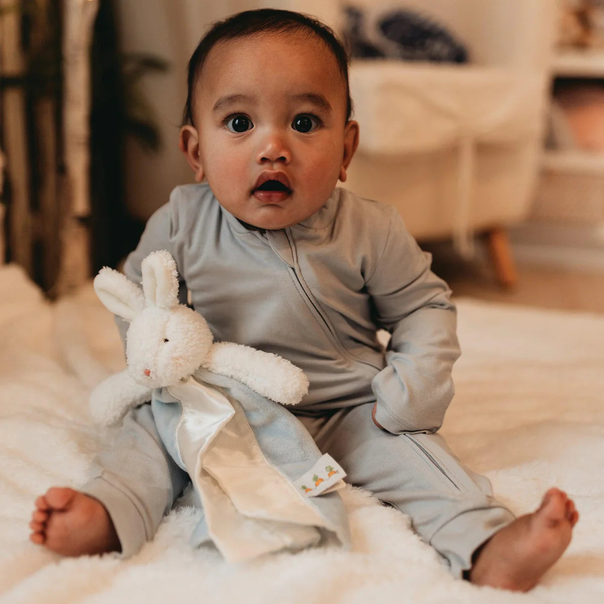 Bunnies By The Bay / Bye Bye Buddy