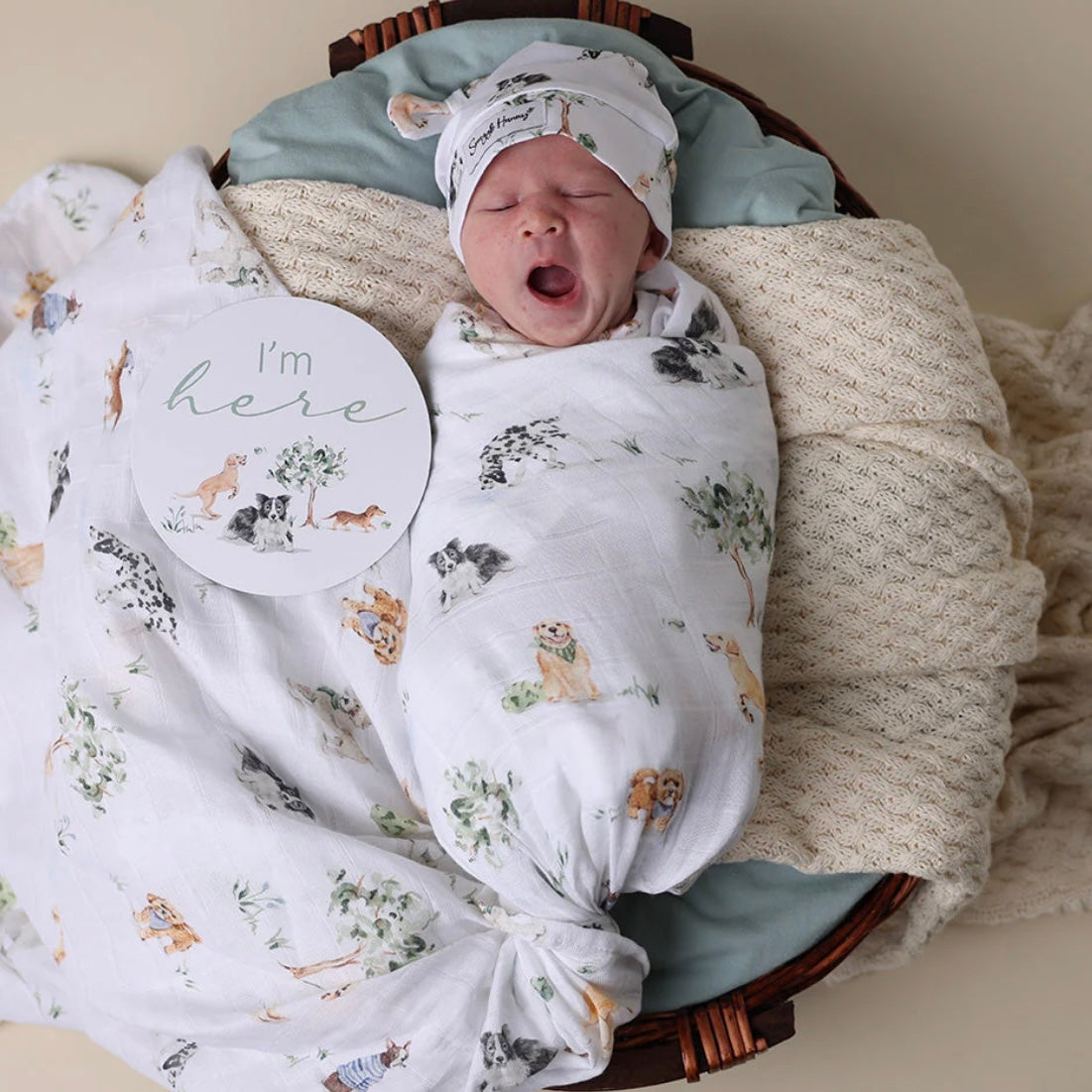 Snuggle Hunny / Muslin Wrap - Dog Park