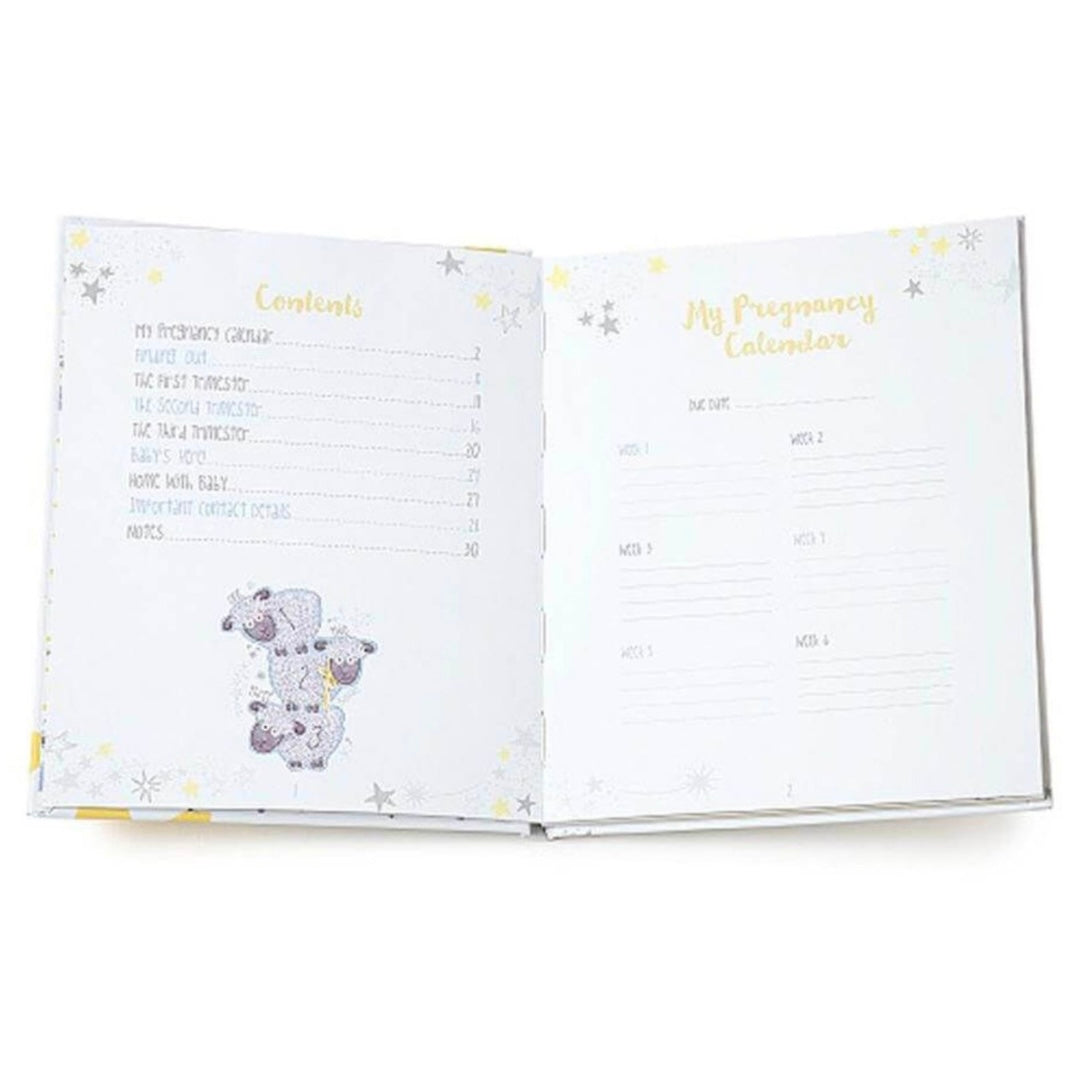 Me To You / Tiny Tatty Teddy Pregnancy Journal