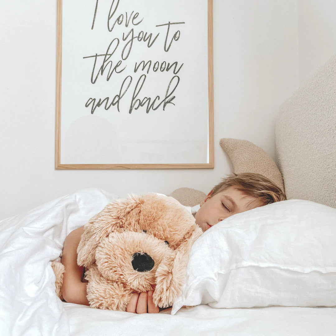 Mindful and Co / Charlie the Weighted Puppy Dog Toy