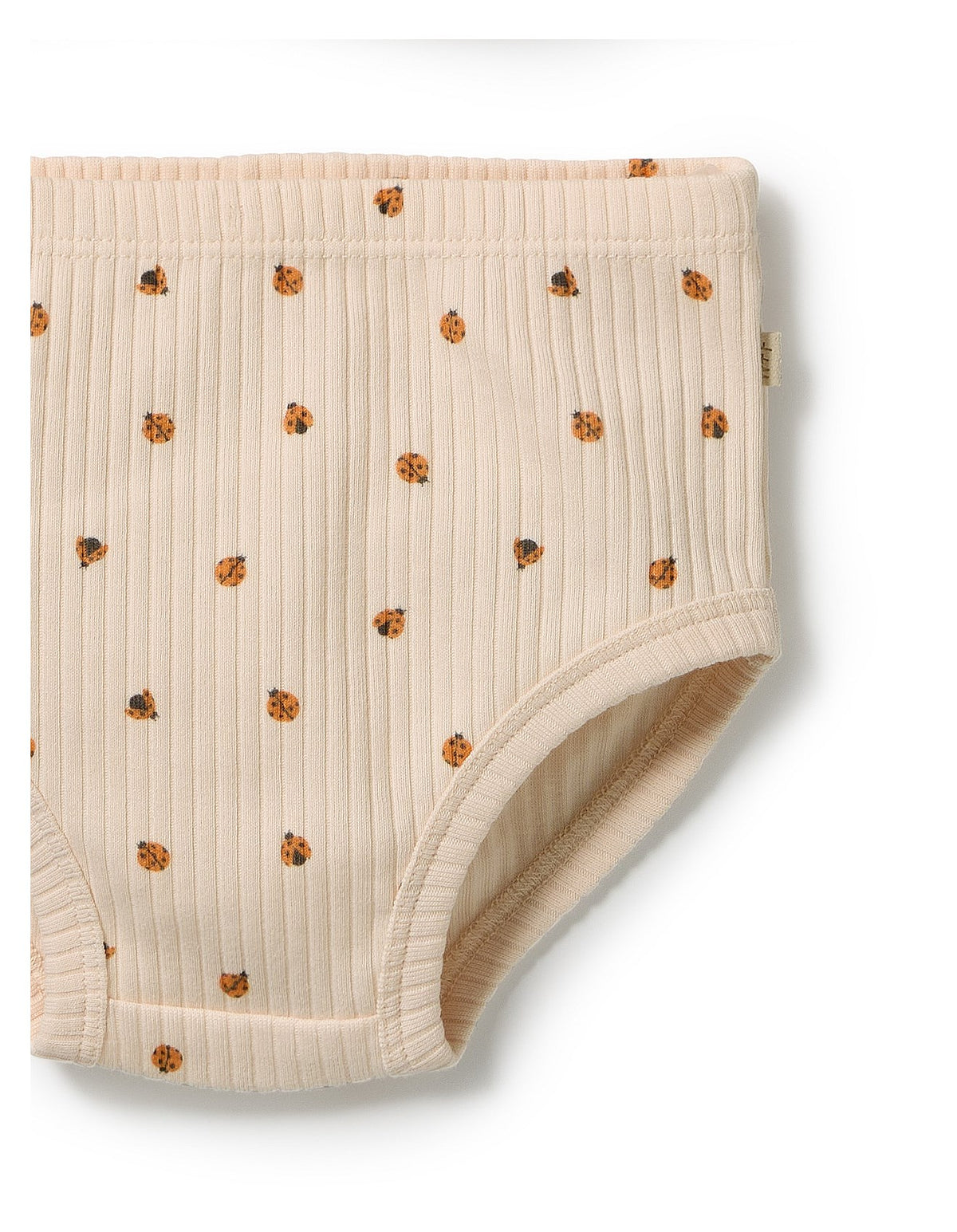 Wilson & Frenchy / Little Lady Bugs Organic Dress Set