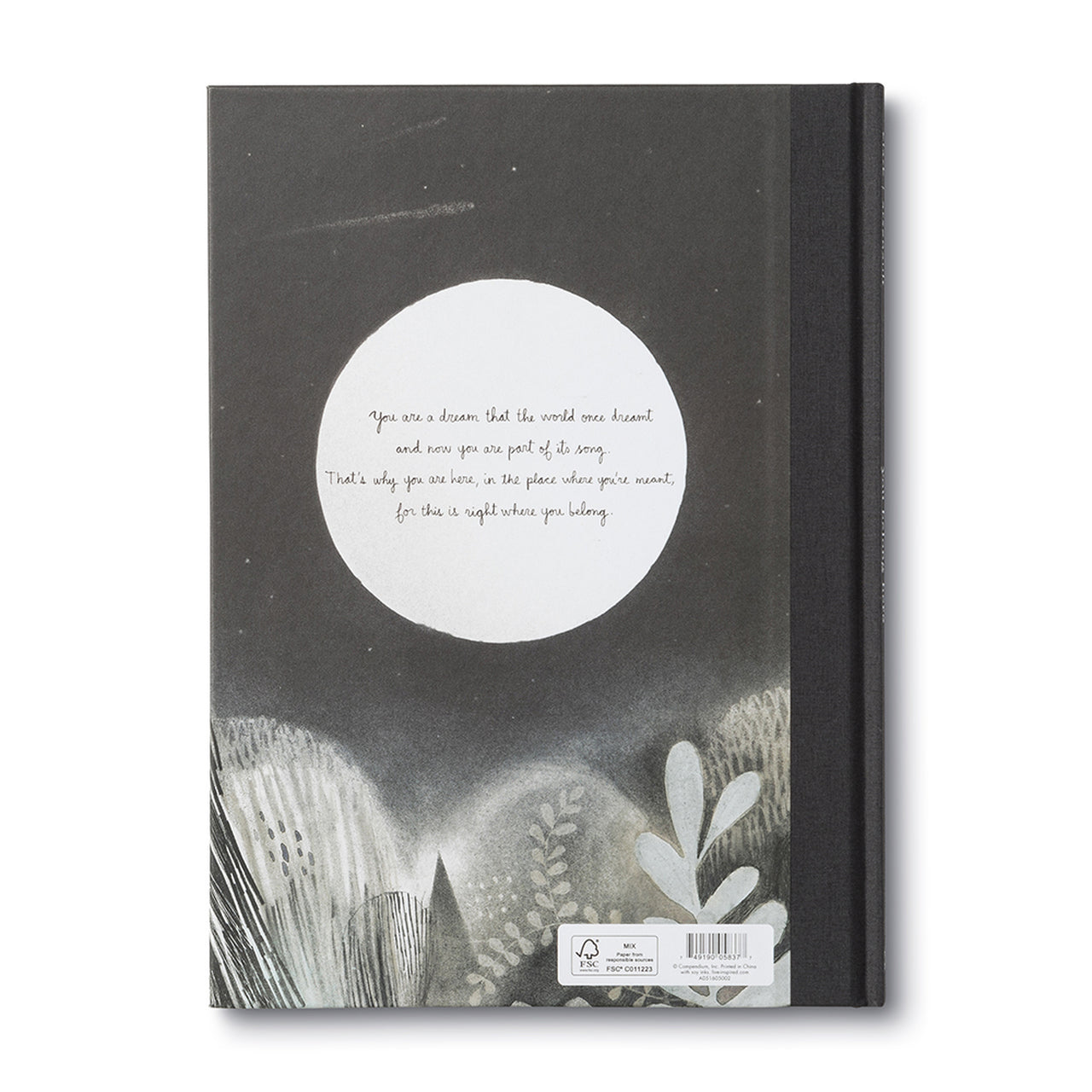 You Belong Here / M.H Clark