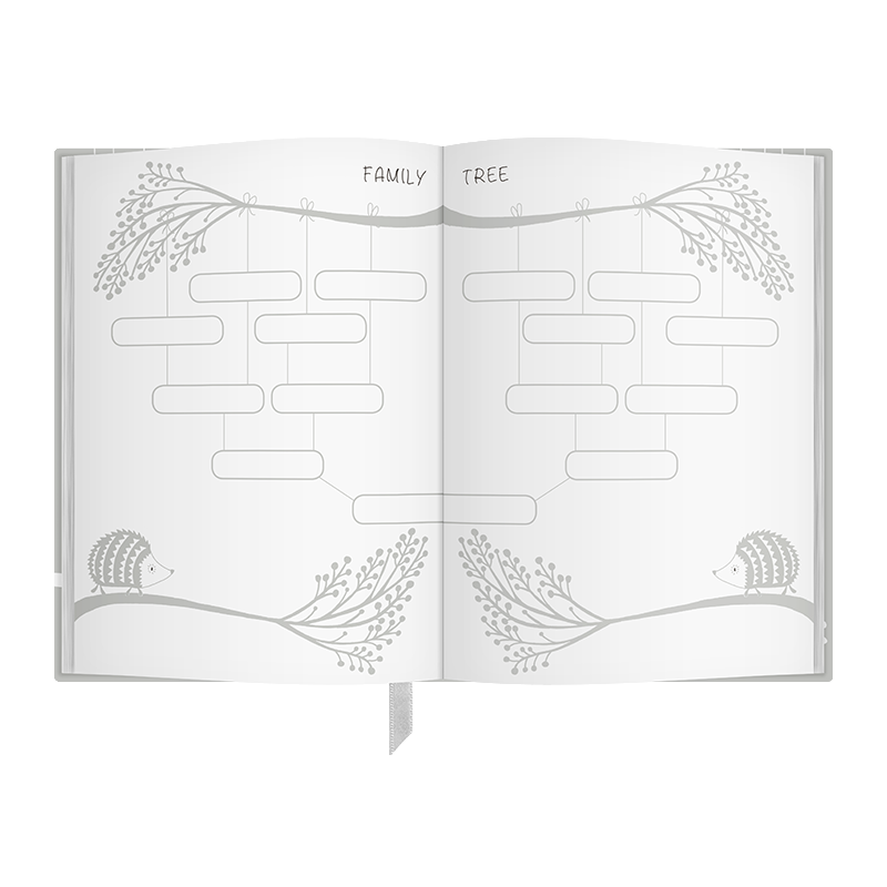 Early Years Keepsake Journal