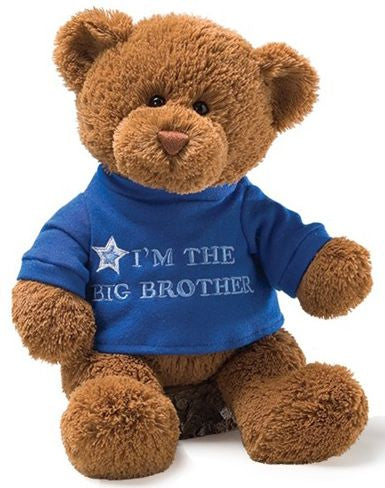 I'm The Big Brother Bear