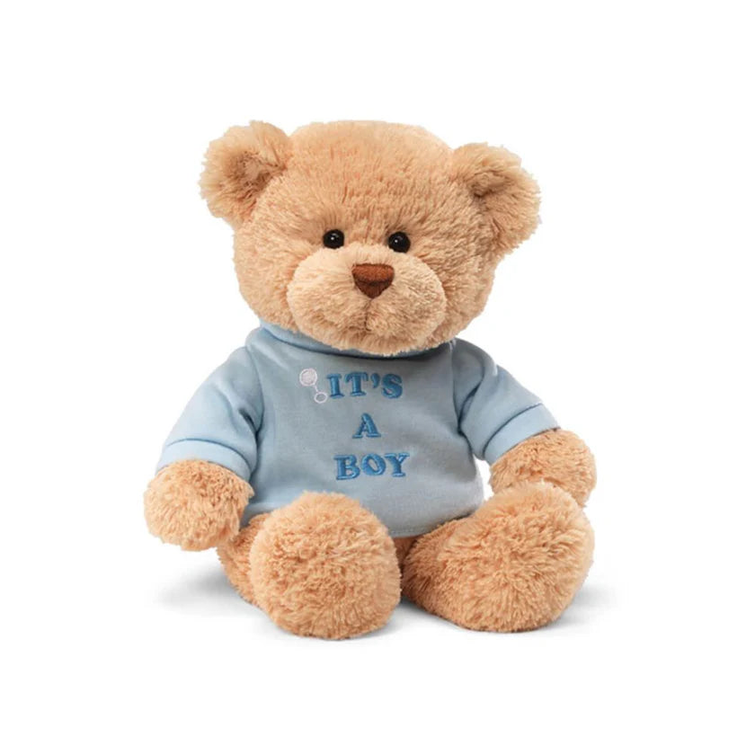 It's A Boy Blue Bear