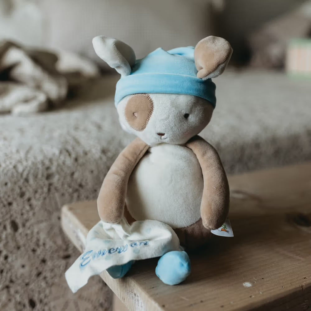 Bunnies By The Bay / Sleepy Skipit Puppy