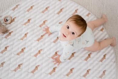 Bambella Designs / Waterproof Padded Play Mat - Dachshund Days