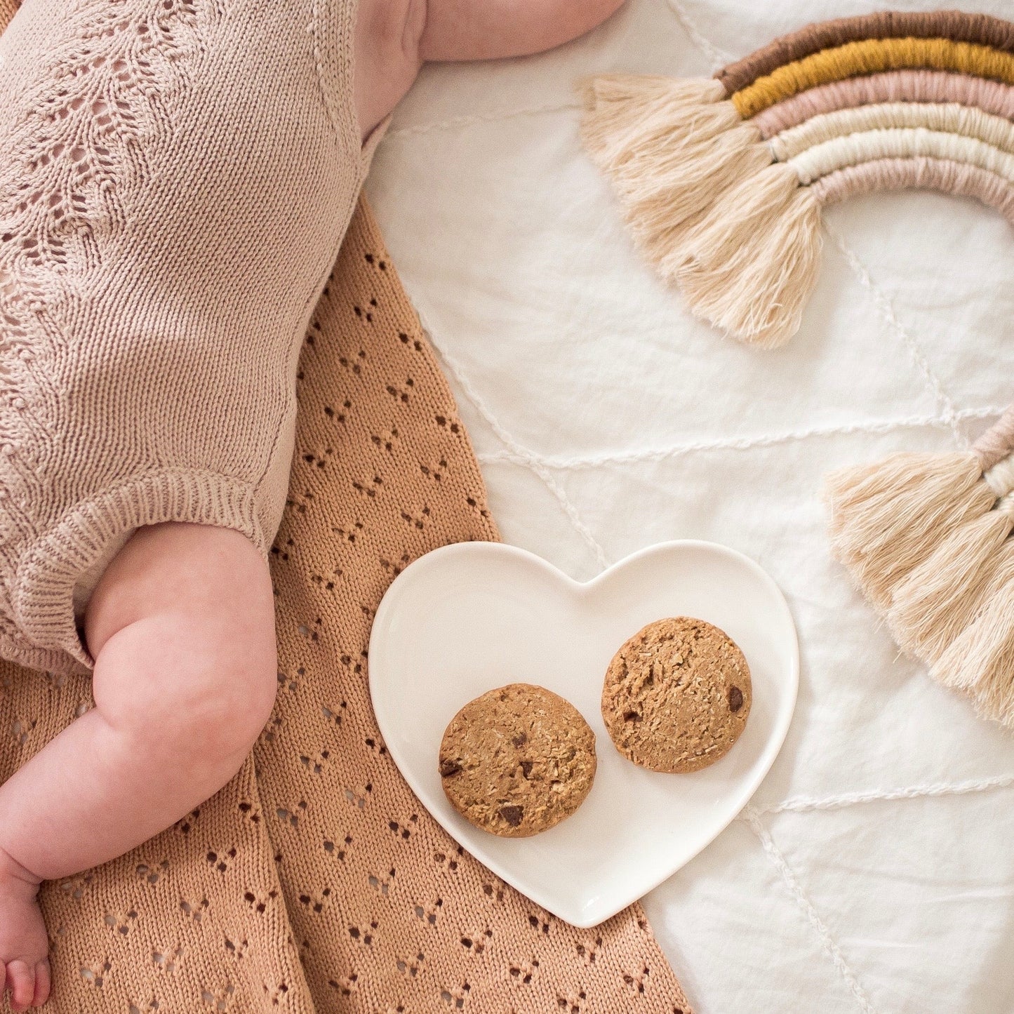 Milky Goodness / Dark Chocolate Chip Lactation Cookies