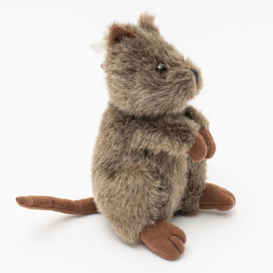 Dinki Di / Chuckles the Quokka 16cm