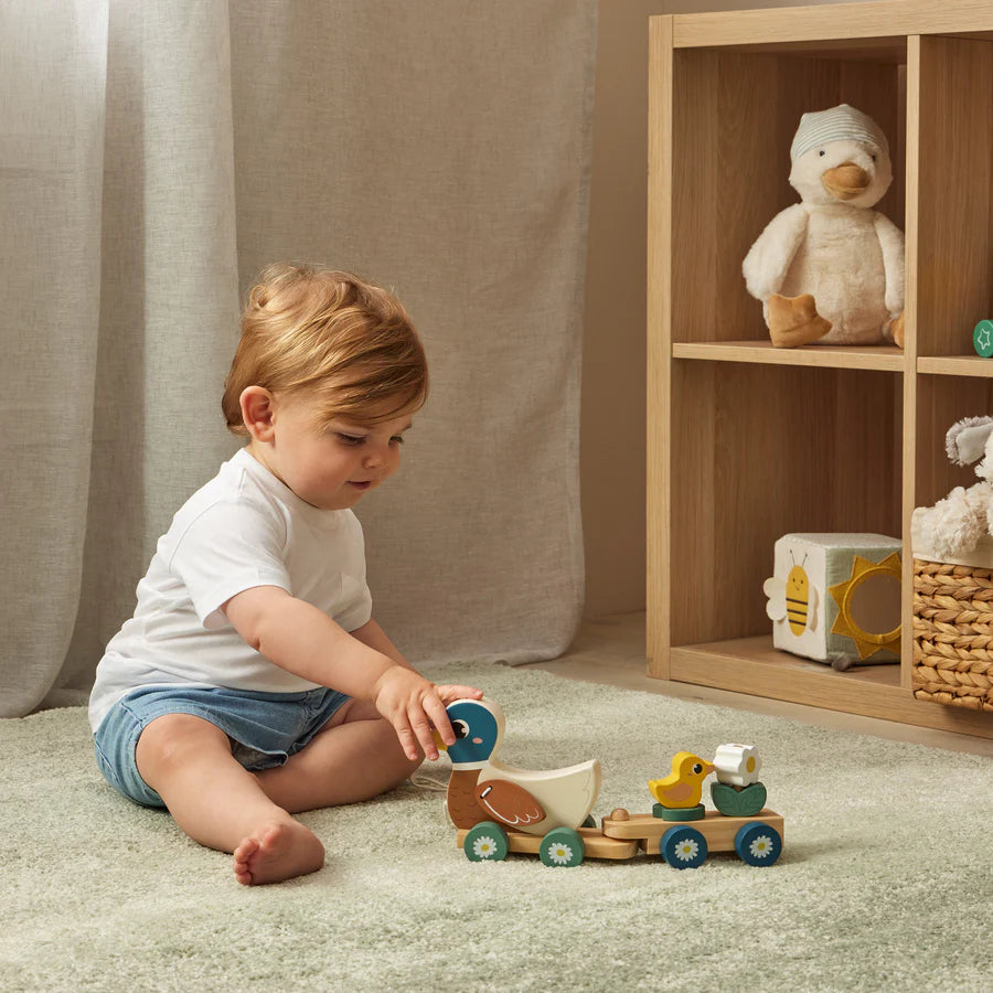 Zookabee / Duck Train Set