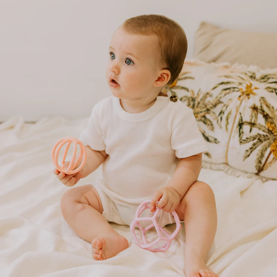 Jellystone / Sensory Ball & Fidget Ball