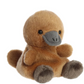 Palm Pals / Patty Platypus