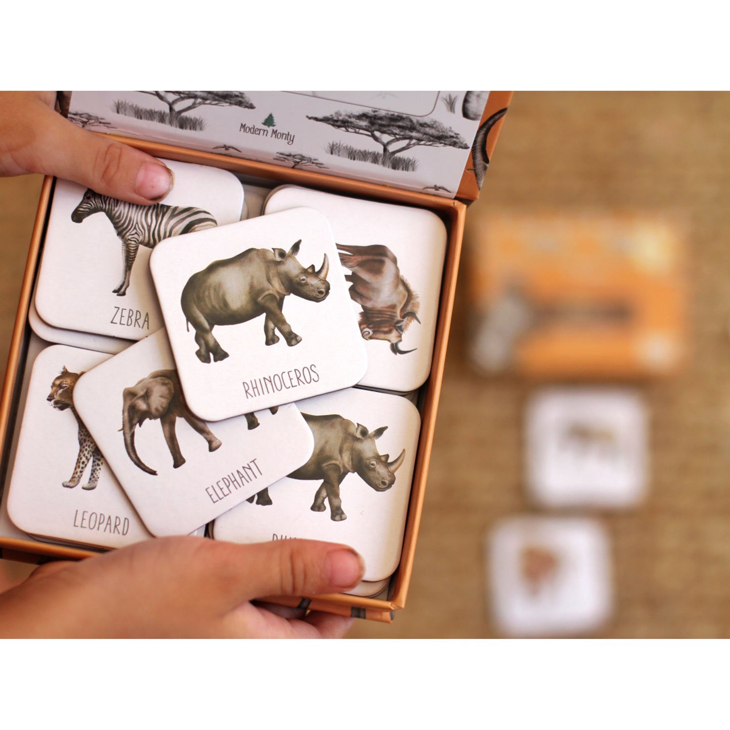 Modern Monty / Memory Card Game