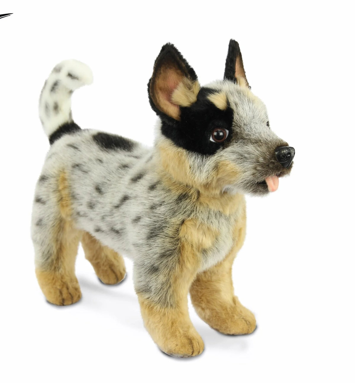 Hansa / Blue Heeler Standing 41cm