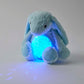 Jiggle & Giggle / Plush Bunny