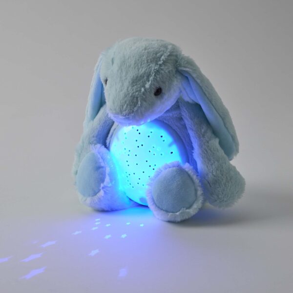 Jiggle & Giggle / Plush Bunny