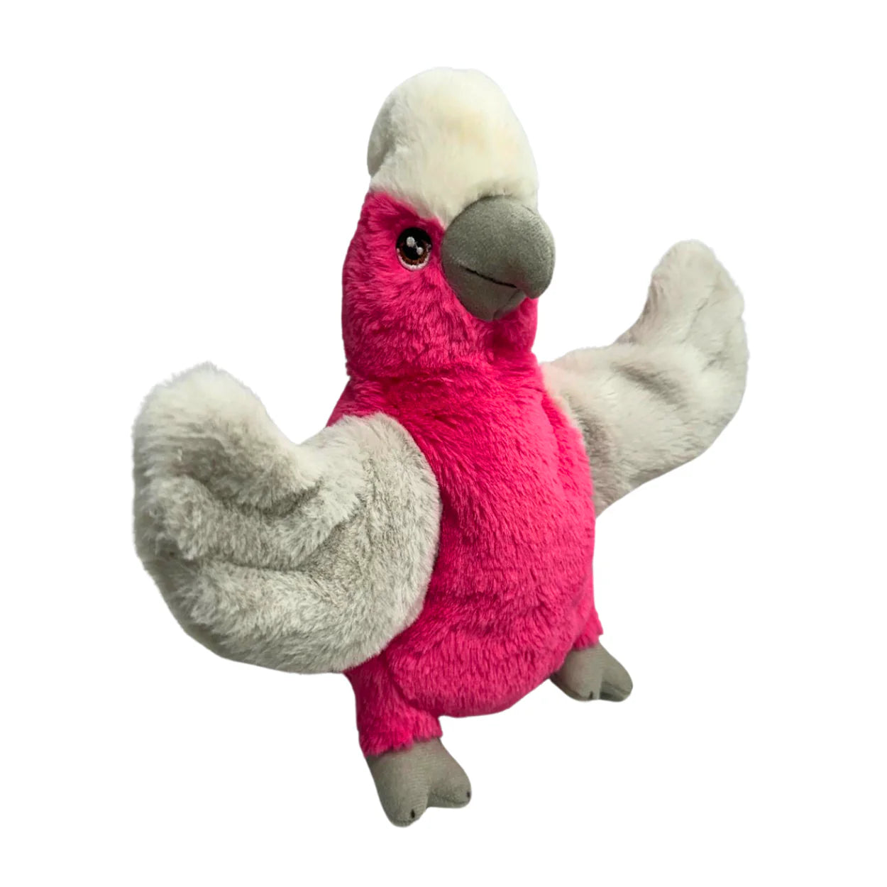 Eco Puppets