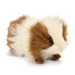 Hansa / Guinea Pig