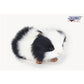 Hansa / Guinea Pig