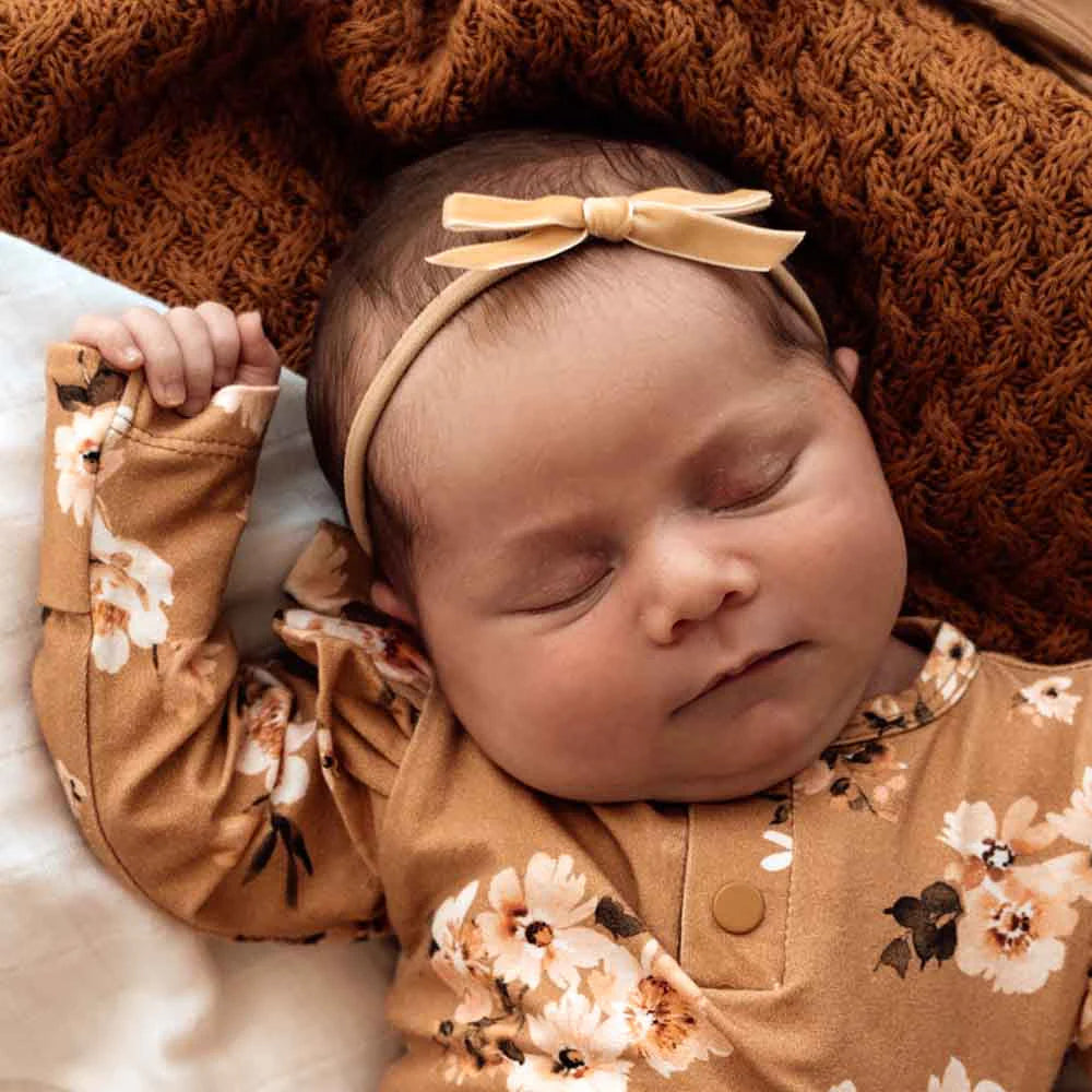 Snuggle Hunny / Velvet Bow