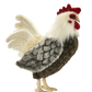 Hansa / Rooster 30cm