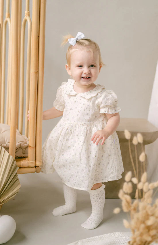 Aster & Oak / Sofia Floral Collared Dress