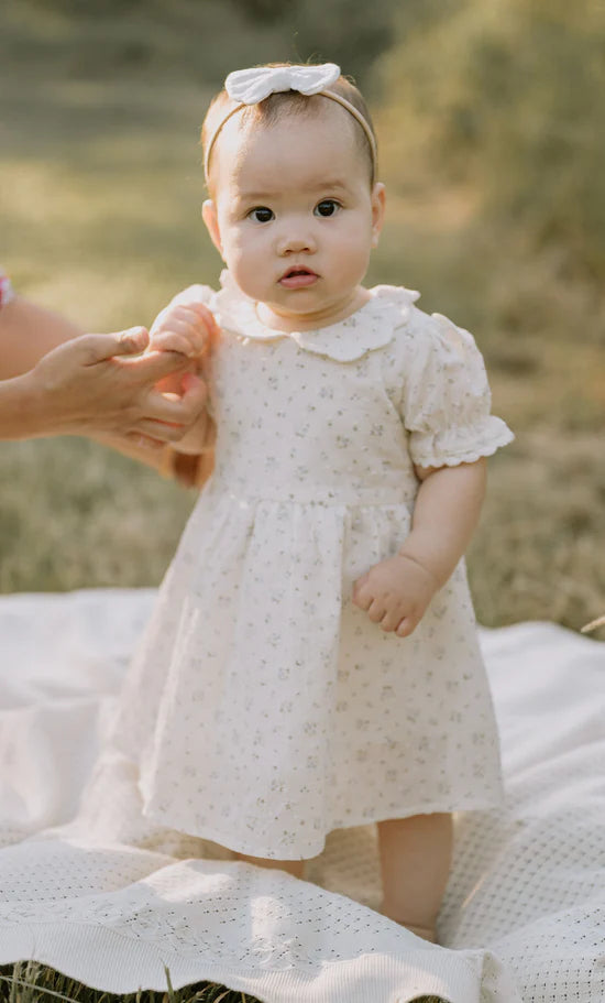 Aster & Oak / Sofia Floral Collared Dress