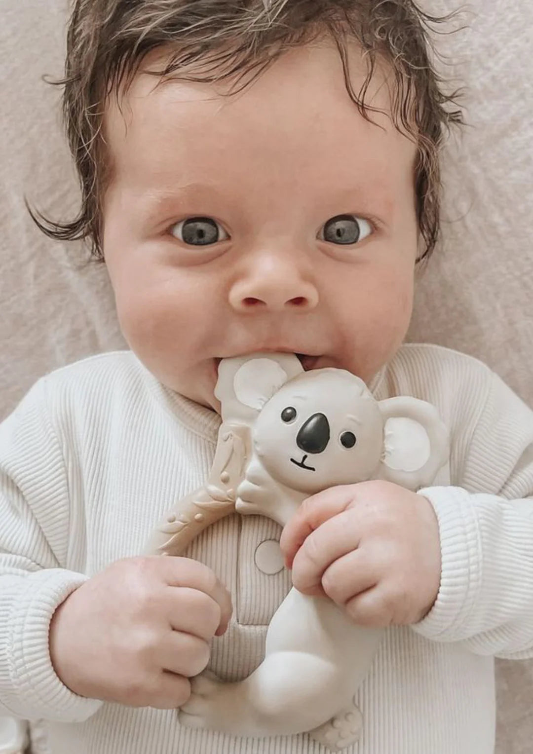 Winnie Parkes / Banks The Koala - Teething Ring