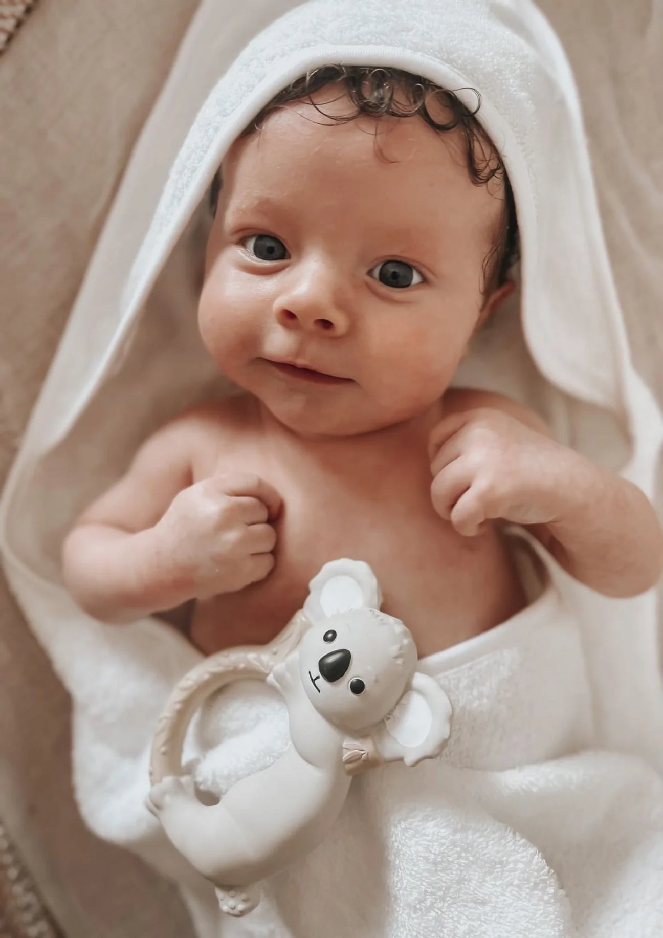 Winnie Parkes / Banks The Koala - Teething Ring