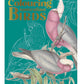 Colouring Australian Birds