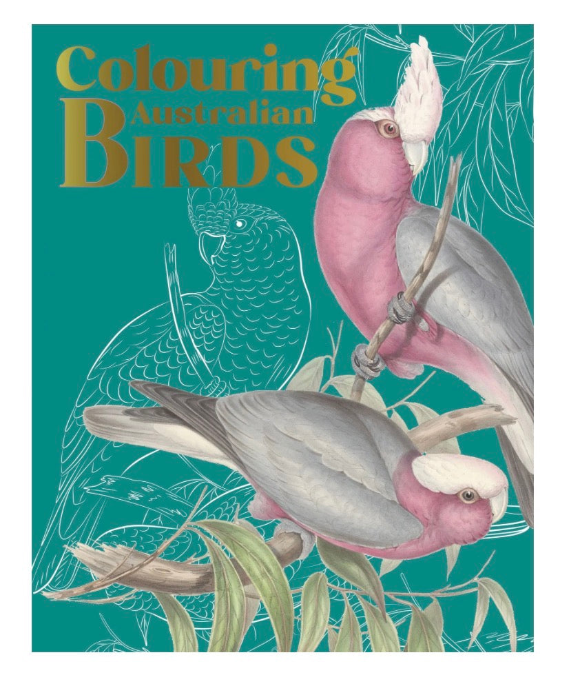 Colouring Australian Birds