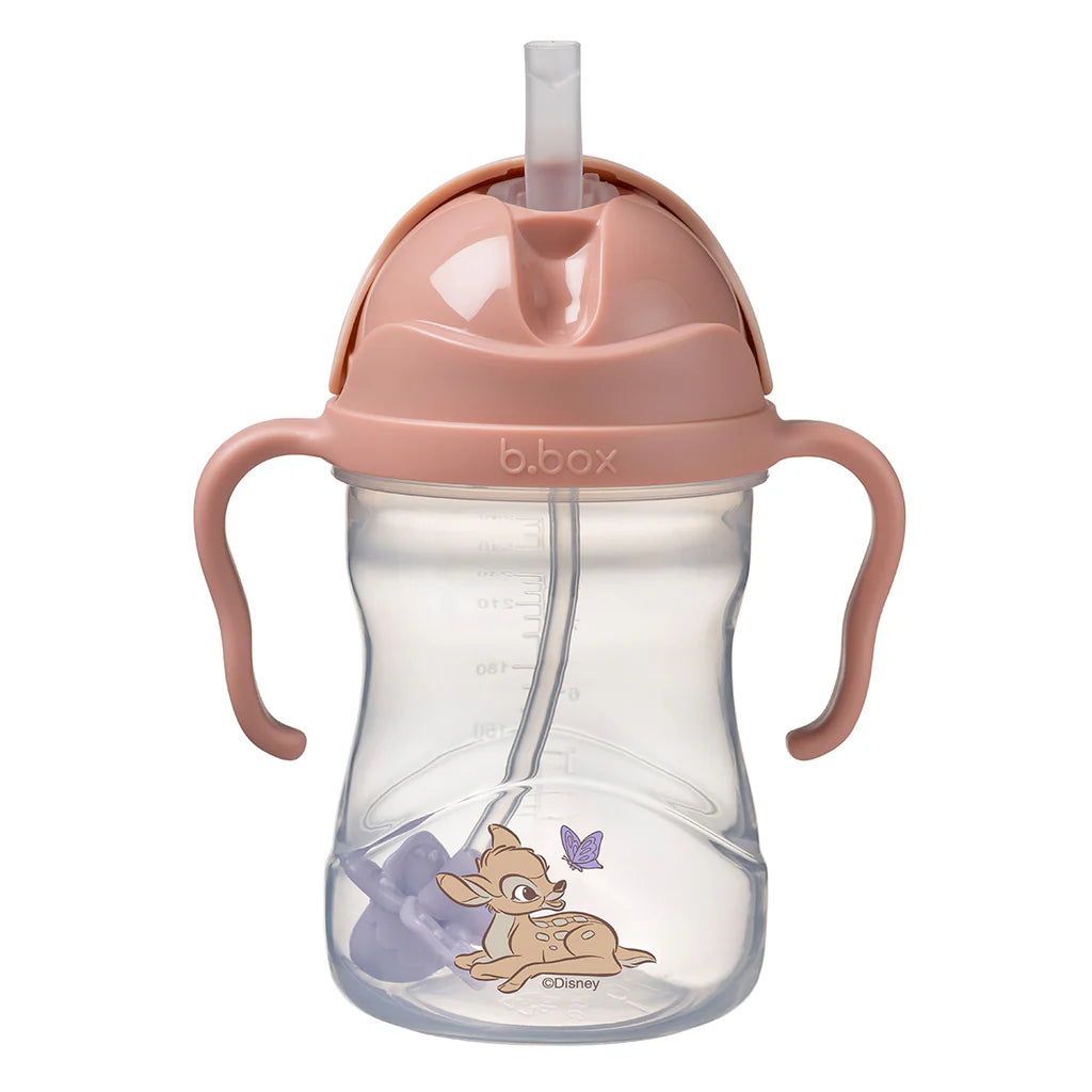 B.box / Disney Sippy Cup