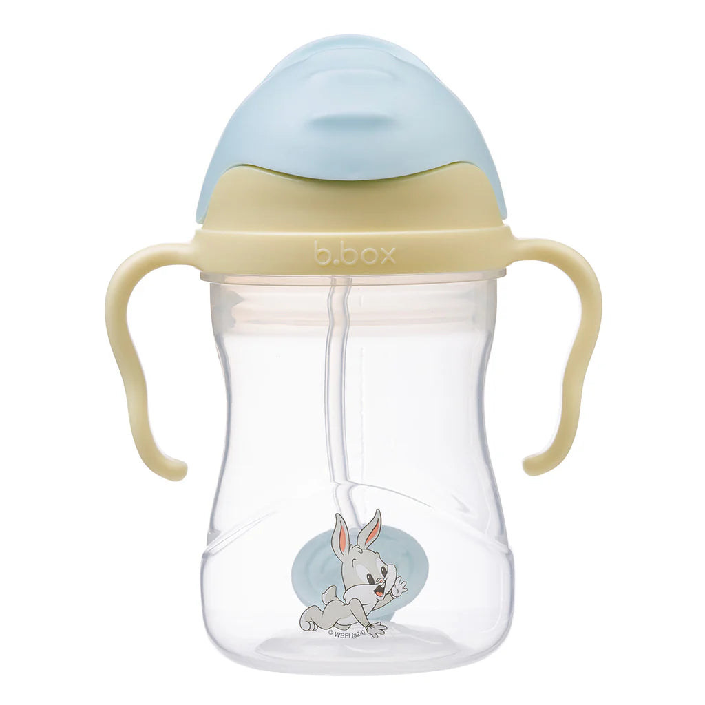 B.box / Disney Sippy Cup