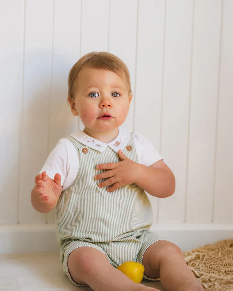 Bebe By Minihaha /  Roman Green Stripe Overalls