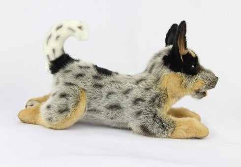 Hansa / Blue Heeler Puppy Laying 43cm