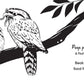 Aussie Bird Babies / High Contrast Book