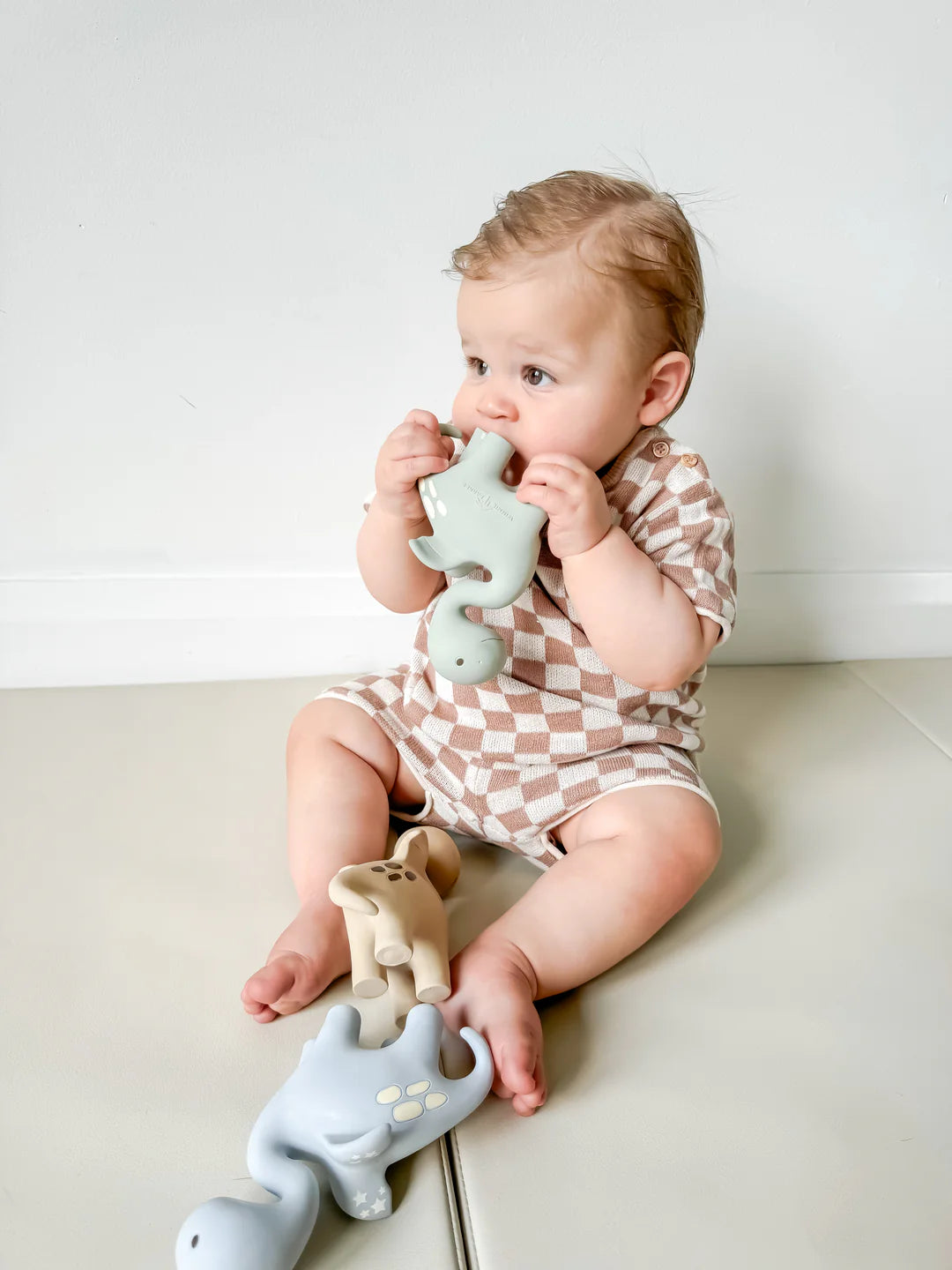 Winnie Parkes / Diplo the Dino Dragon Teether